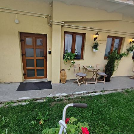 Central Garden Apartments Μπρασόβ Εξωτερικό φωτογραφία