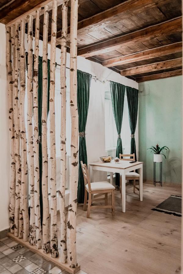 Central Garden Apartments Μπρασόβ Εξωτερικό φωτογραφία