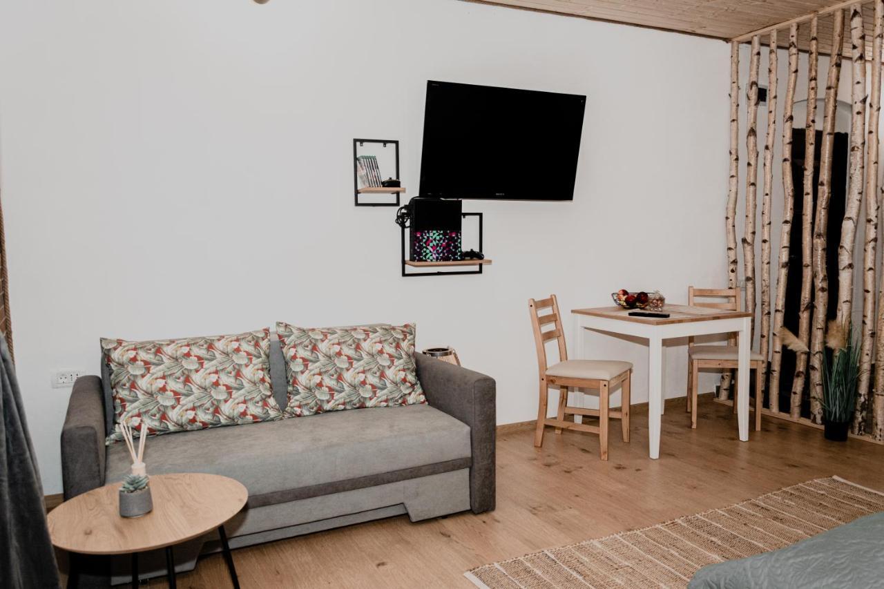 Central Garden Apartments Μπρασόβ Εξωτερικό φωτογραφία