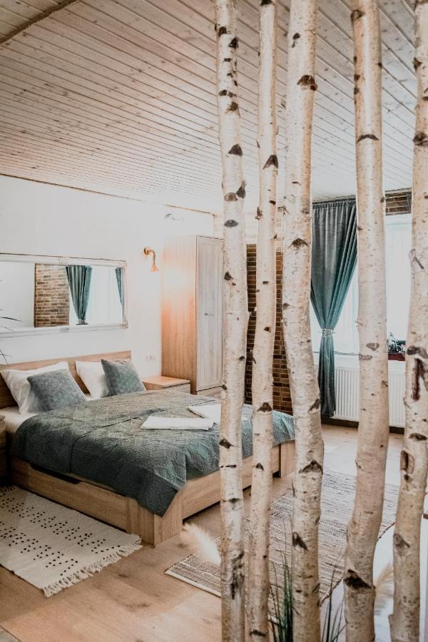 Central Garden Apartments Μπρασόβ Εξωτερικό φωτογραφία